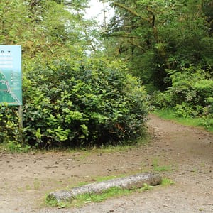 Leadbetter Point State Park
