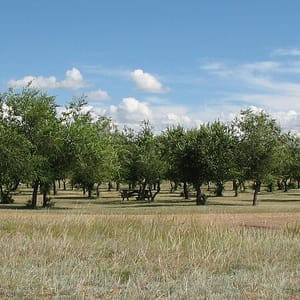 Little Fish Lake Provincial Park