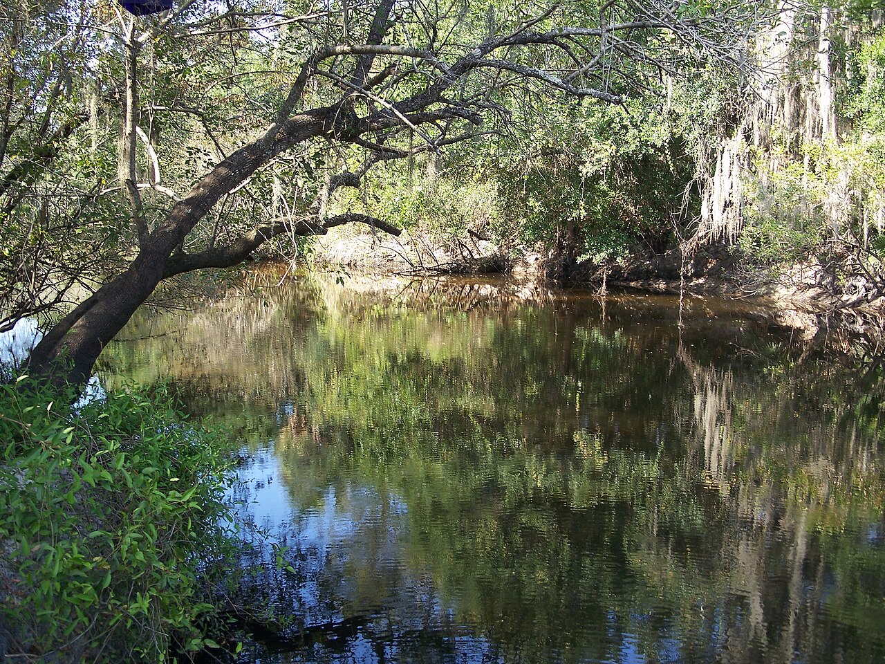 Little Manatee River State Park