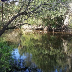 Little Manatee River State Park