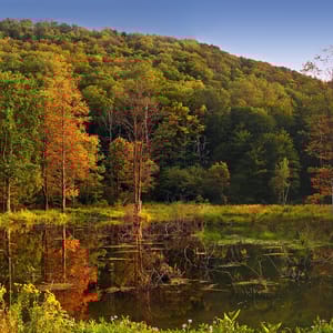 Lyman Run State Park