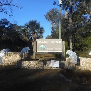 Manatee Springs State Park