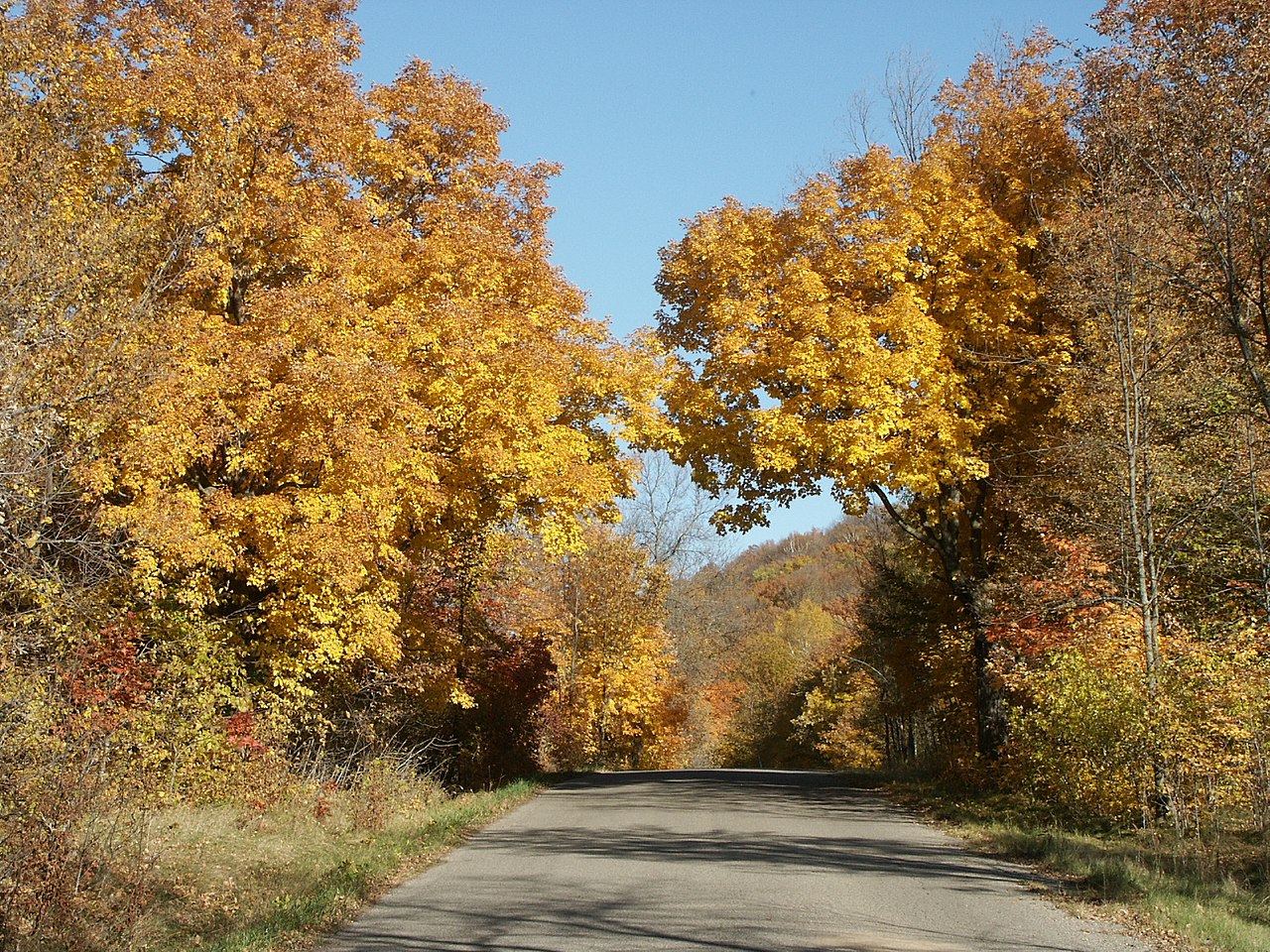 Maplewood State Park