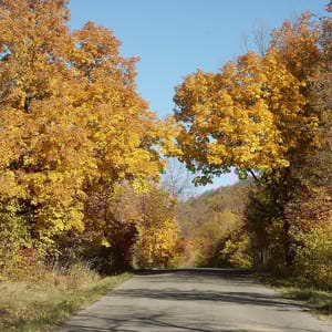 Maplewood State Park