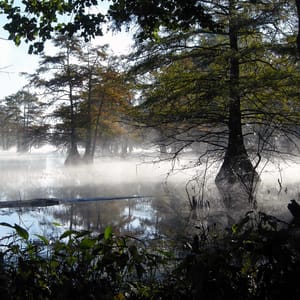 Martin Dies, Jr. State Park