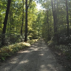 Mashamoquet Brook State Park