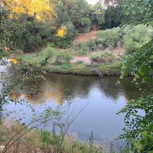 McConnell State Recreation Area