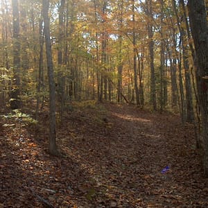 Medoc Mountain State Park