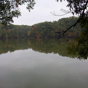 Meeman-Shelby Forest State Park