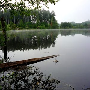 Millersylvania State Park