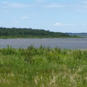 Miquelon Lake Provincial Park