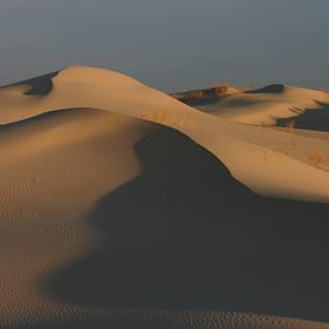 Monahans Sandhills State Park