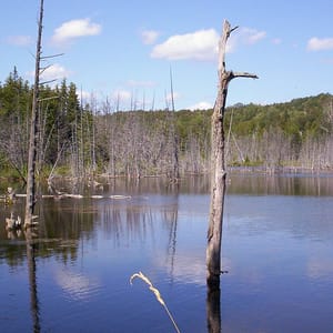 Mono Cliffs Provincial Park