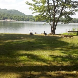 Moreau Lake State Park