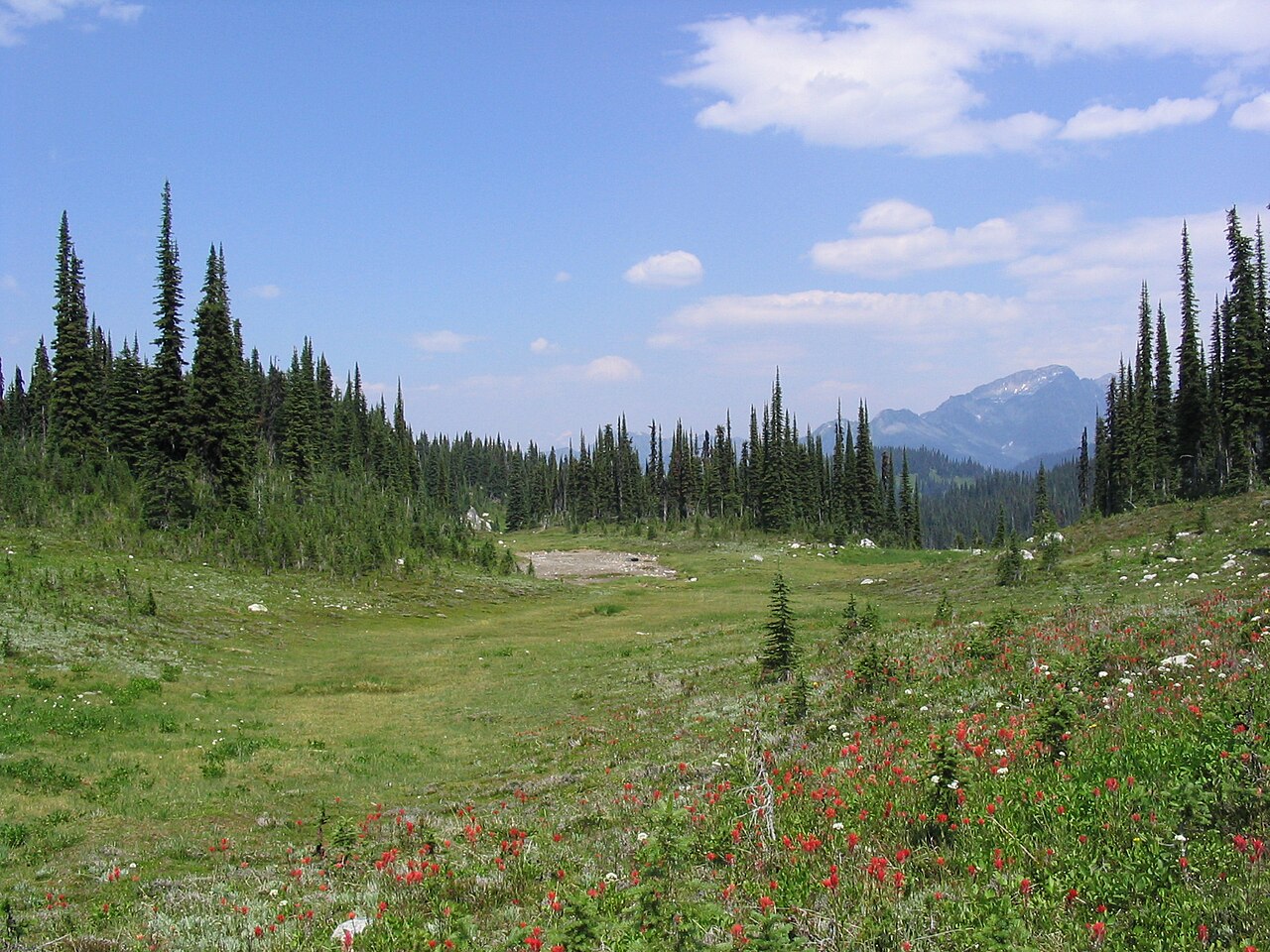 Mount Revelstoke National Park