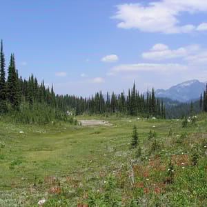 Mount Revelstoke National Park