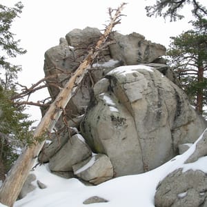 Mount San Jacinto State Park