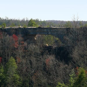 Natural Bridge State Park