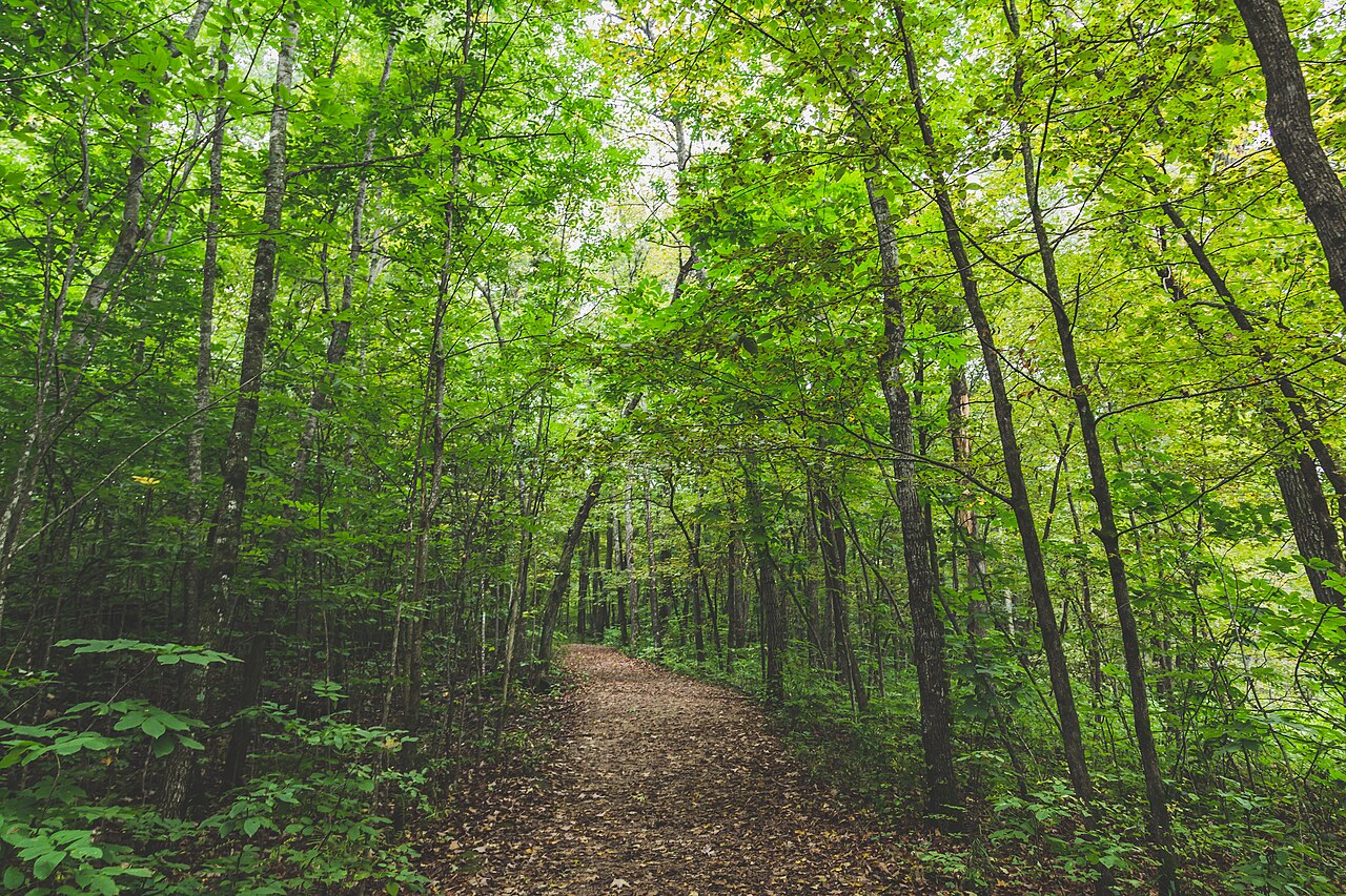Nerstrand Big Woods State Park