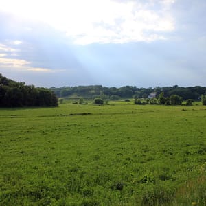 New Glarus Woods State Park