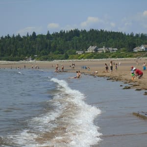 New River Beach Provincial Park