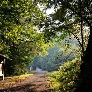 New River Trail State Park