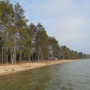 North Higgins Lake State Park
