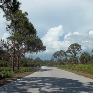 Oscar Scherer State Park