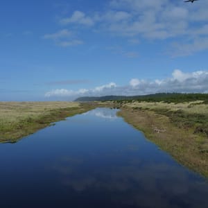 Pacific Beach State Park