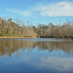 Palmetto Island State Park
