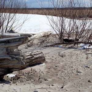 Patricia Beach Provincial Park