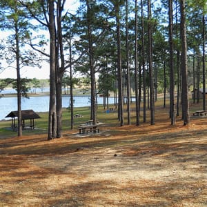 Paul B Johnson State Park