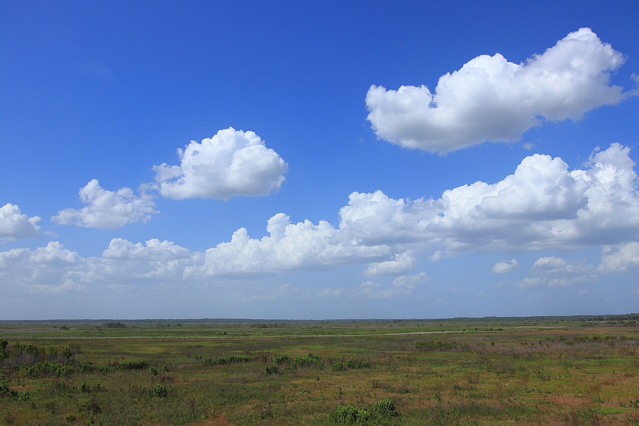 Paynes Prairie Preserve State Park
