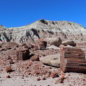 Petrified Forest National Park