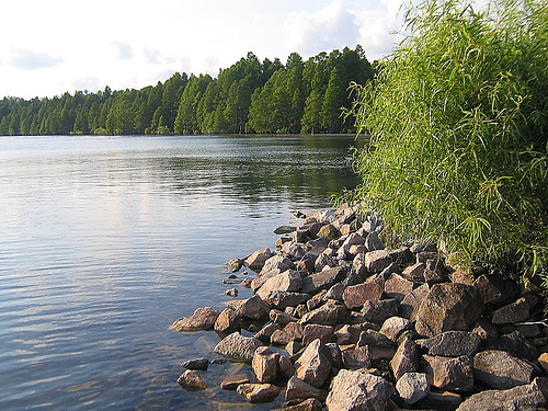 Pettigrew State Park