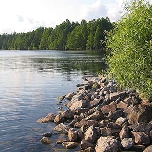 Pettigrew State Park