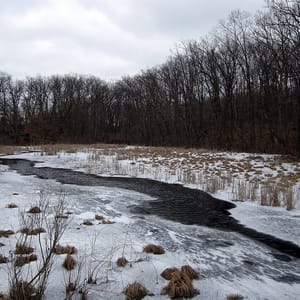 Pinckney Recreation Area