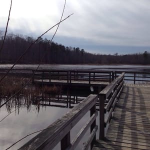 Pocahontas State Park