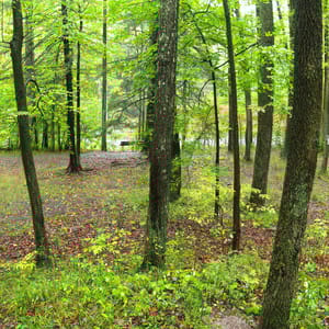 Poe Paddy State Park