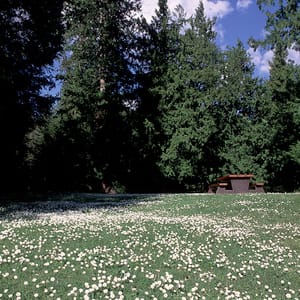 Porpoise Bay Provincial Park