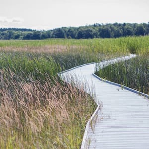 Presqu'ile Provincial Park