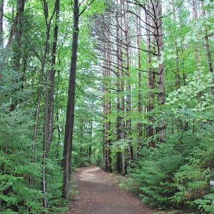 Proud Lake Recreation Area
