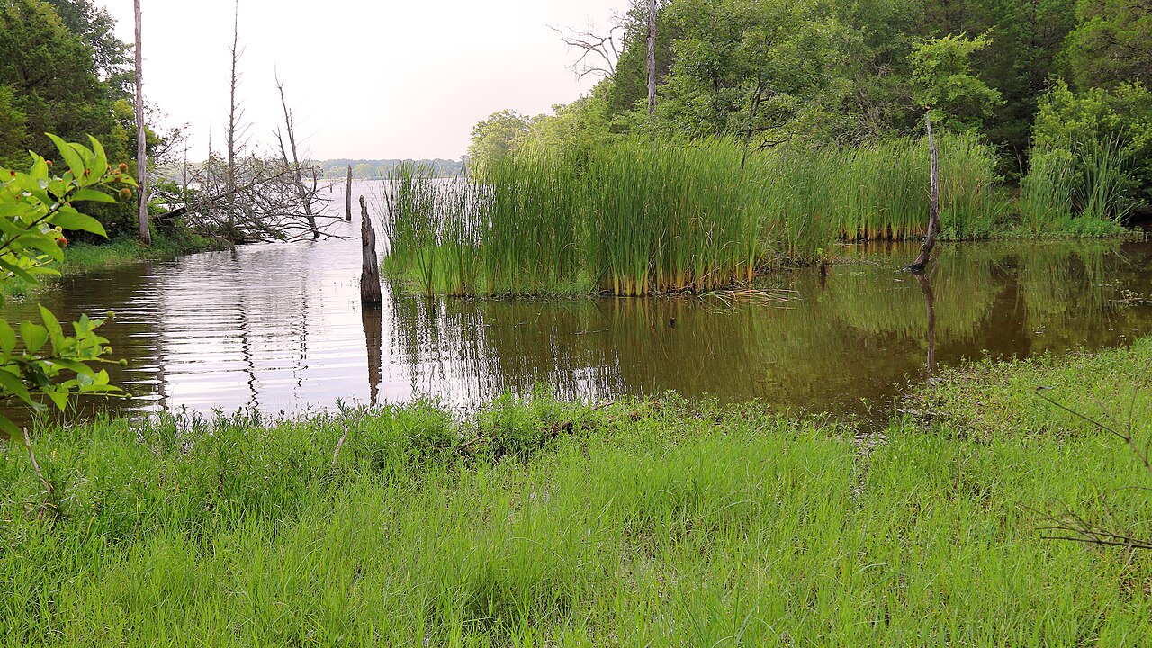 Purtis Creek State Park
