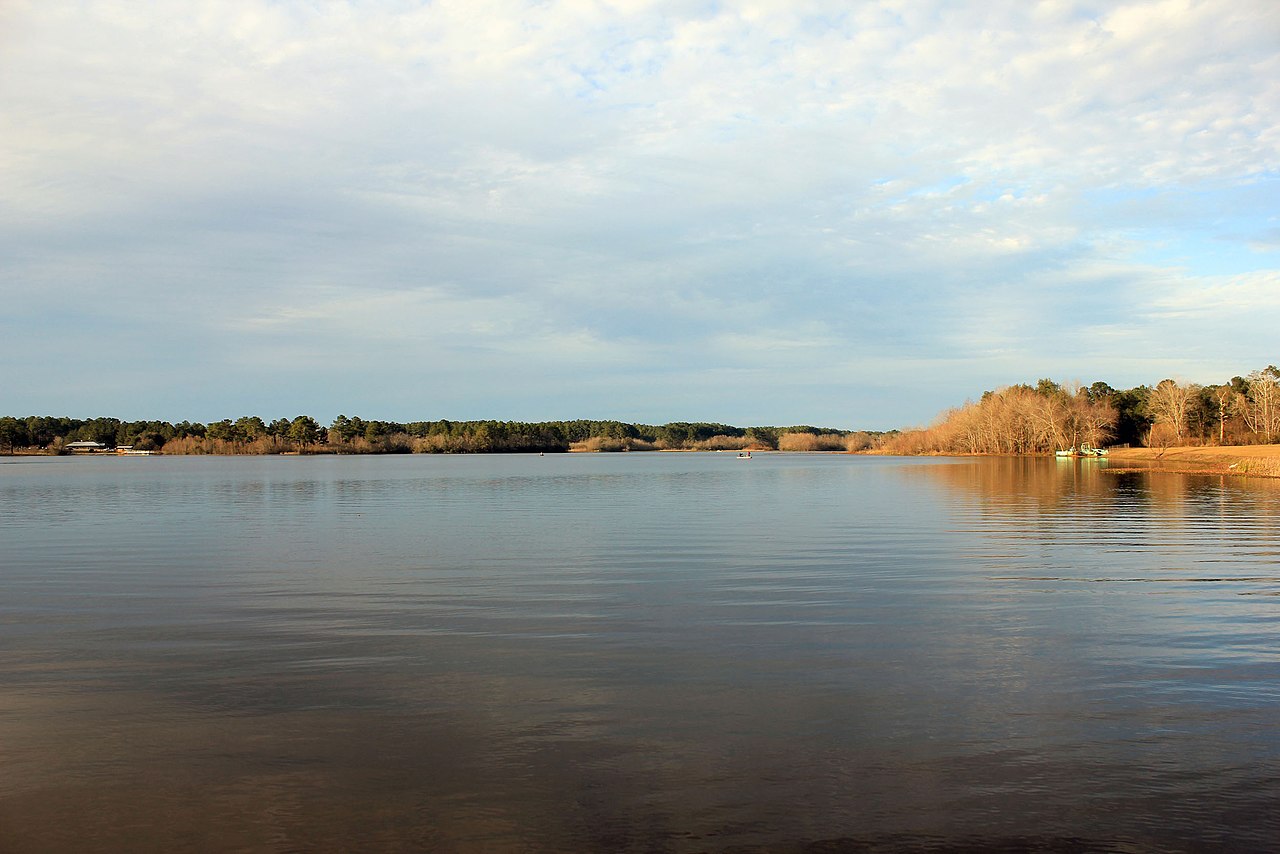 Reed Bingham State Park