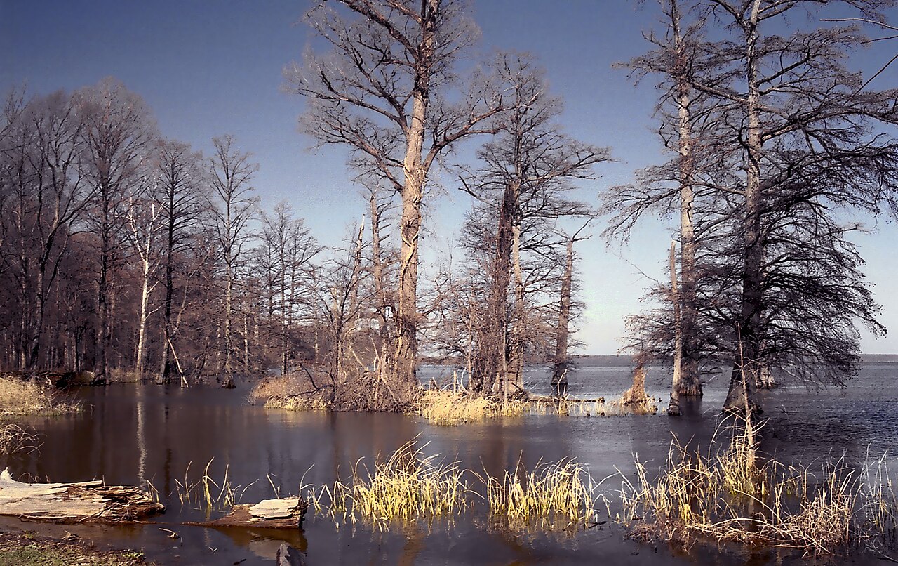 Reelfoot Lake State Park