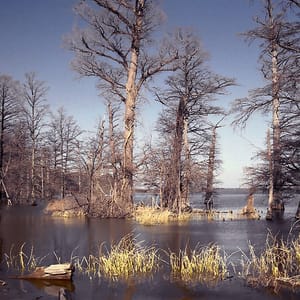 Reelfoot Lake State Park