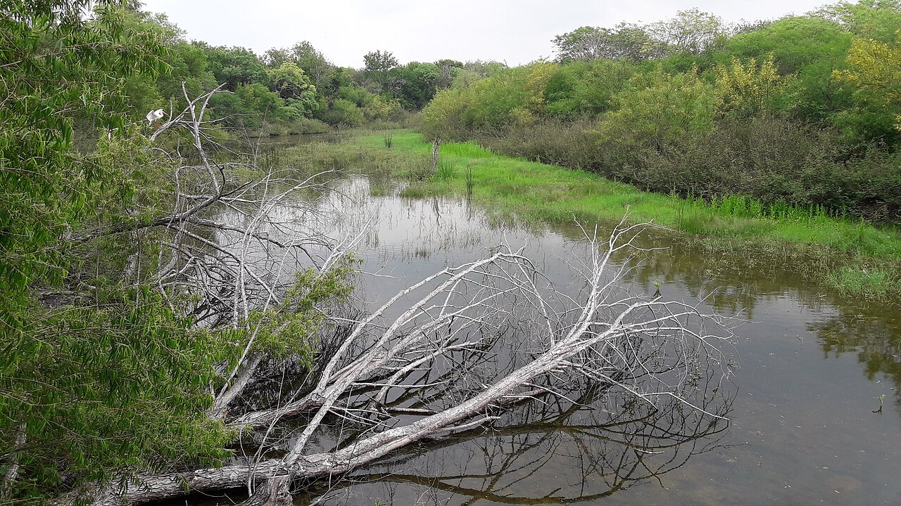Resaca de la Palma State Park