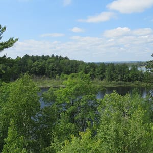 Rifle River Recreation Area