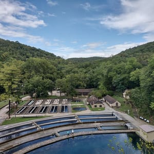 Roaring River State Park