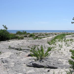 Rock Point Provincial Park